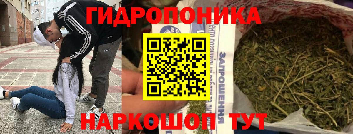 Бошки марихуана конопля Сыктывкар